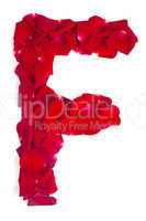 Letter F made from red petals rose on white