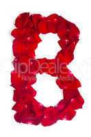 Letter B made from red petals rose on white