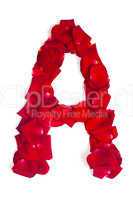 Letter A made from red petals rose on white