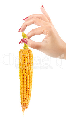 Corn