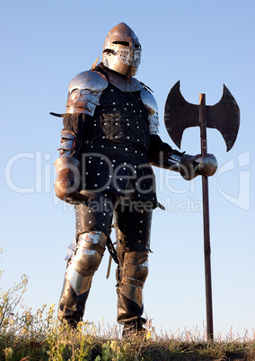 Medieval knight