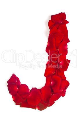 Letter J made from red petals rose on white