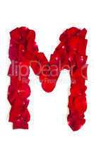 Letter M made from red petals rose on white