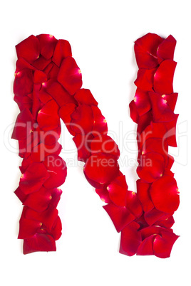 Letter N made from red petals rose on white