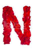 Letter N made from red petals rose on white