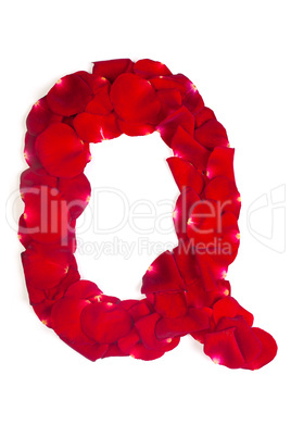 Letter Q made from red petals rose on white
