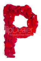 Letter P made from red petals rose on white