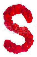 Letter S made from red petals rose on white