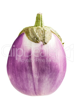 Eggplant isolated on white