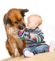Dog licking a cute baby