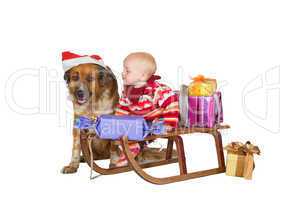 Baby and dog on Christmas sled