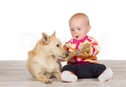 Little baby offering the dog a bone