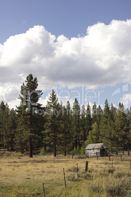 barn in the forest with clouds above in the summer