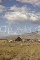 Old barn in a very large field - Loyalton California