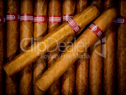 background cigars in humidor