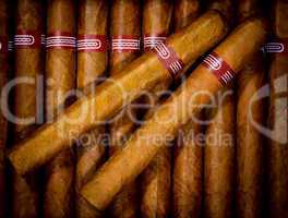 background cigars in humidor