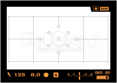 Display DSLR View