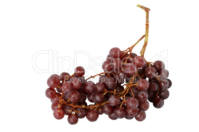 Grapes On White