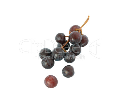 Grapes On white