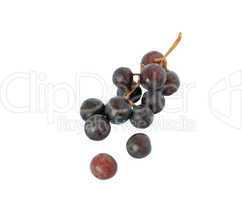 Grapes On white