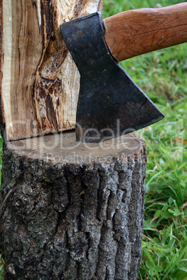 Axe In Log