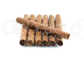 Cigars On White