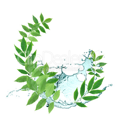 Leaves And Water