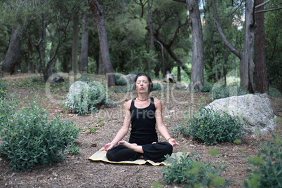 Yoga In Forest