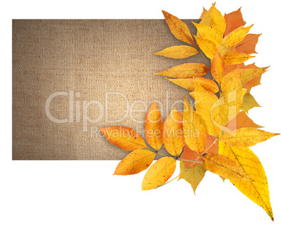 Autumn Greeting Card