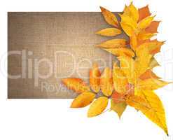 Autumn Greeting Card