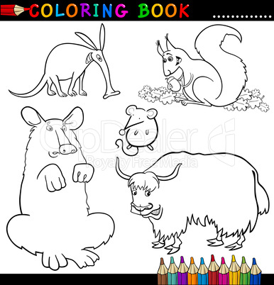 Animals for Coloring Book or Page