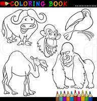 Animals for Coloring Book or Page