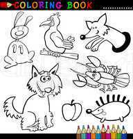 Animals for Coloring Book or Page