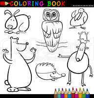 Animals for Coloring Book or Page