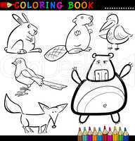 Animals for Coloring Book or Page