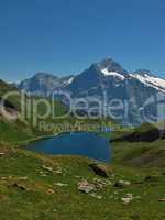 Lake Bachalpsee, Grindelwald
