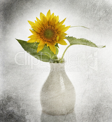 Sunflower In A Vase