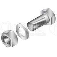 Stainless steel screw and nut. Vector illustration.