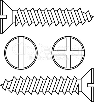 Stainless steel screw. Vector illustration.