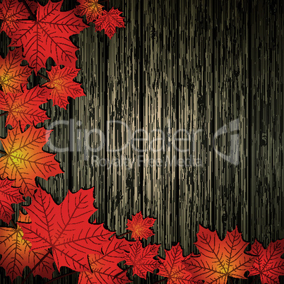 Autumn Leaves over wooden background.