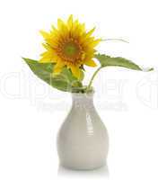 Sunflower In A Vase