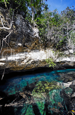 dos ojos cenote