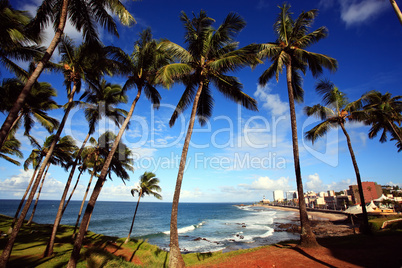 barra beach  salvador of bahia