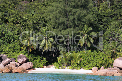 Anse Lazio