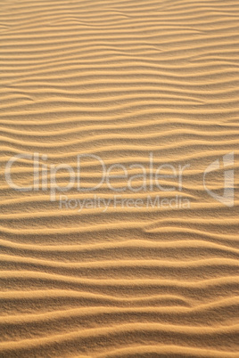 sand dune of cumbuco