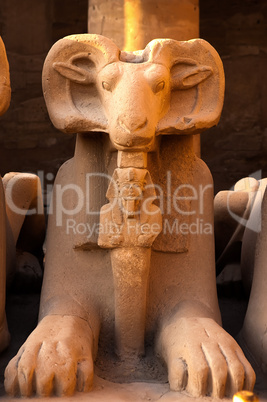 ram statue of the Karnak temple