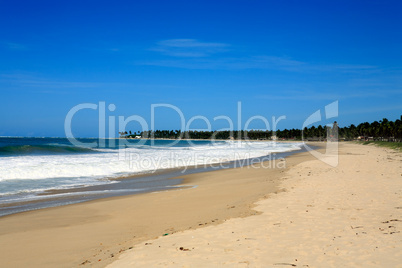 beach of maracaipe