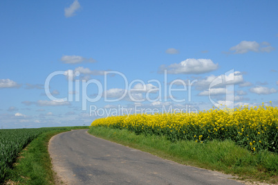 France, a country road in Giverny