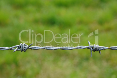 horizontal picture of barbed wire in meadow