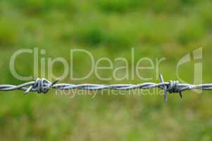 horizontal picture of barbed wire in meadow